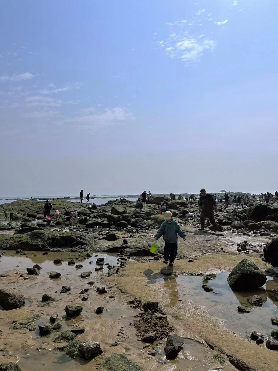 日照已回,带娃去赶海真心建议
