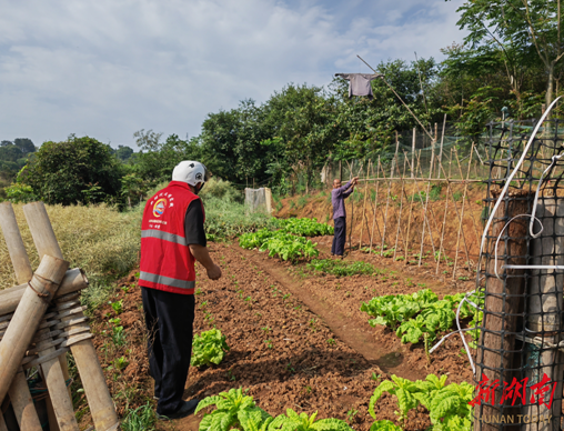 临澧县四新岗镇青林村村综治主任孟志敏回乡发展23年当好群众的纠纷