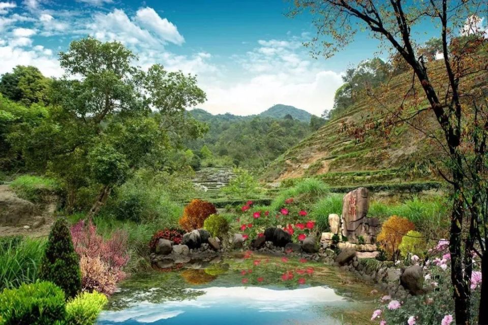 【遇见春茶】高鼎茶庄园:享受美景与香茗的双重治愈