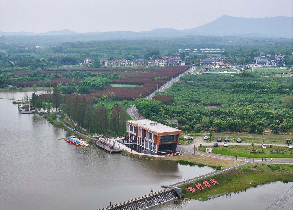 江苏溧阳:我们"村"里的美丽书房