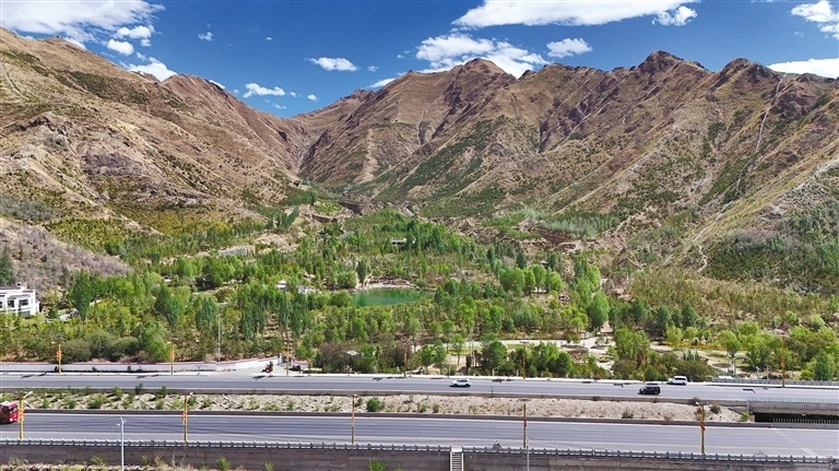 西藏持续推进拉萨南北山绿化:植此青绿织锦绣