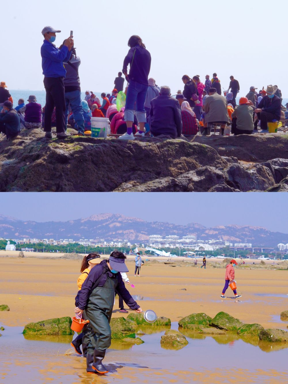 赶海园去免费的就行,李家台任家台吴家台都行机场,西站出租车司机的