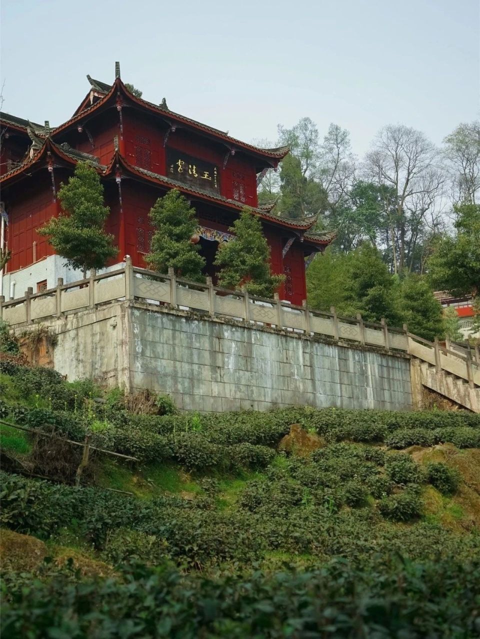 初夏,到都江堰开启一场森系徒步,清凉又有趣