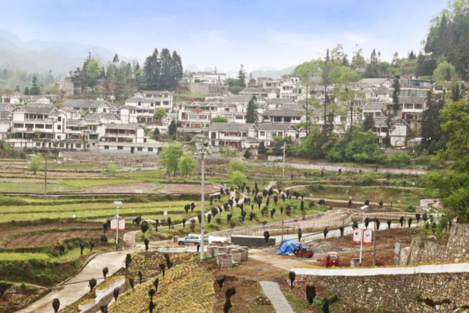 织金县三甲街道农旅丹青绘就乡村振兴新图景