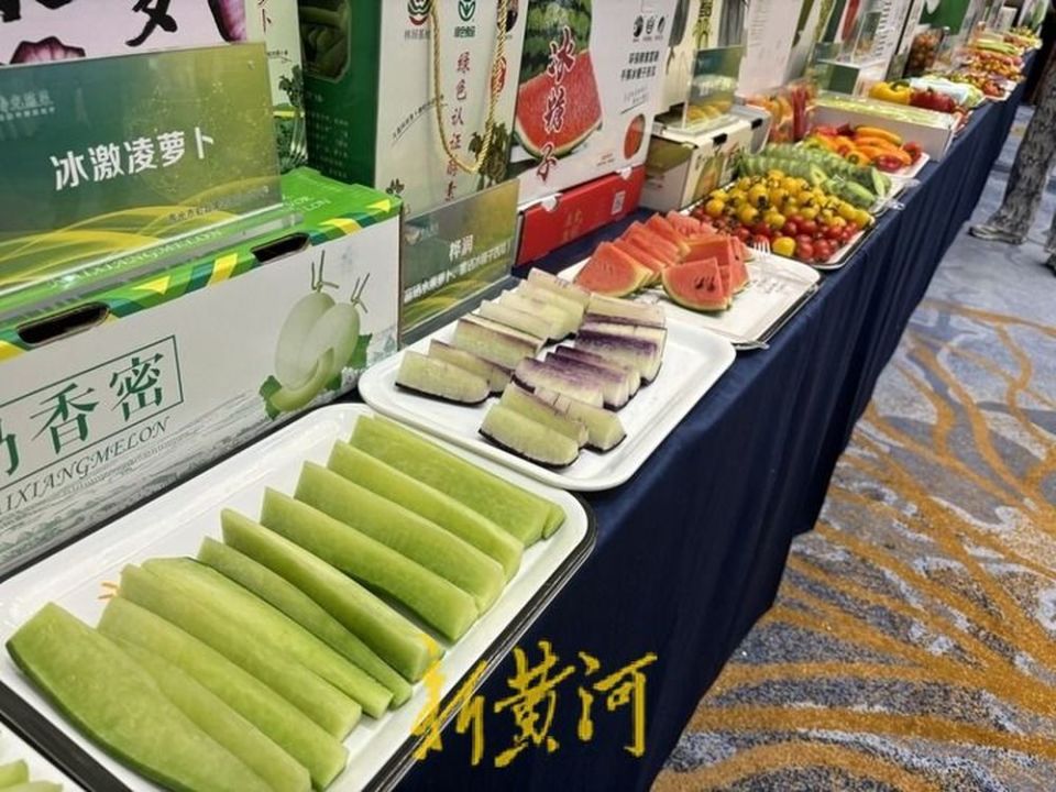 第二十五届中国(寿光)国际蔬菜科技博览会将于4月20日开幕_腾讯新闻