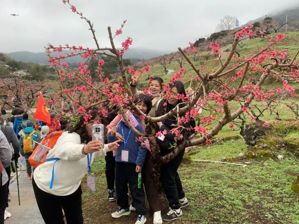 河源哪里有赏花景点图片