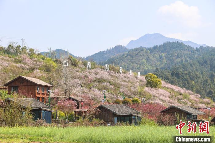 "醉美"赣鄱风景独好:江西莲花县山乡花盛开 万亩良田迎春耕_腾讯新闻
