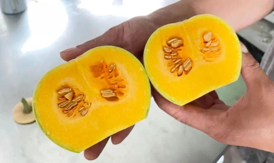 可生榨做饮品，和果汁一样甜！这样的南瓜你吃过吗？_腾讯新闻