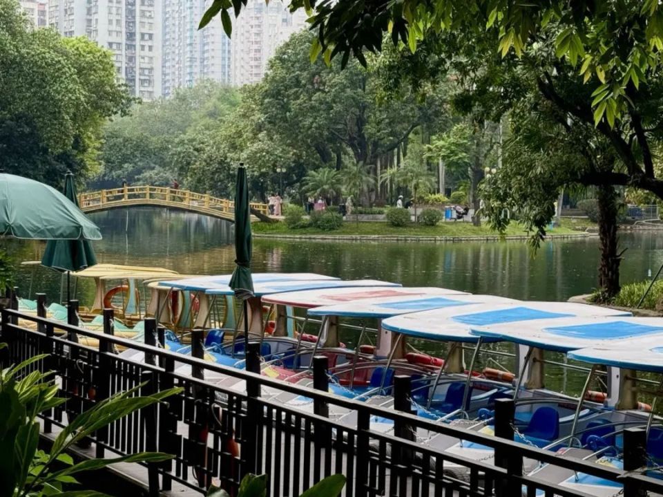 位置01晓港公园游玩攻略……清丽的荷花,迷你的渡口古老的石桥,密集的