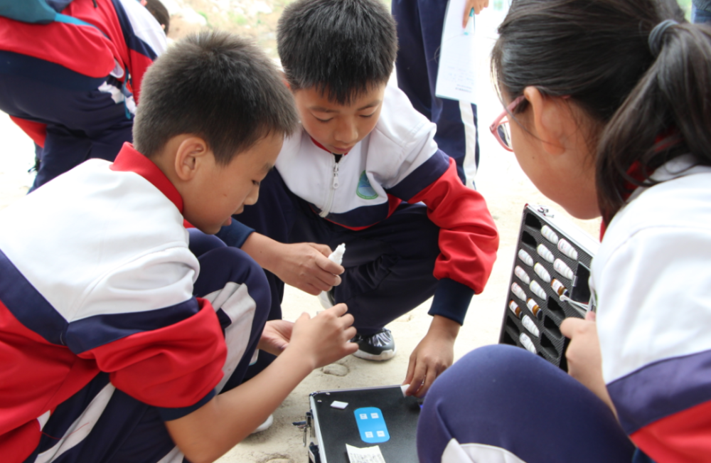 文化新地标!看远郊学校如何助力乡村振兴