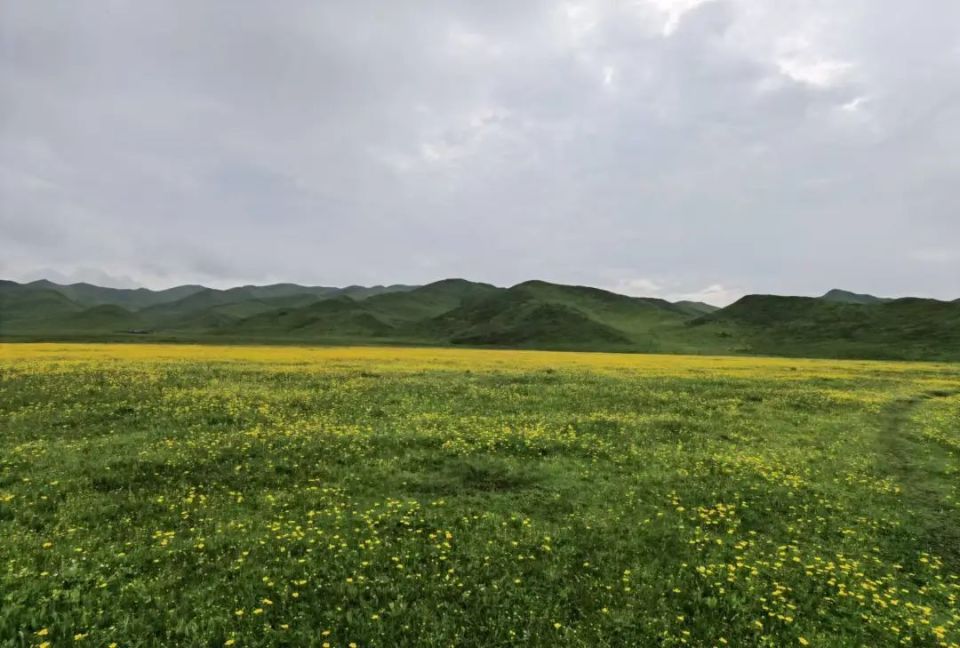 "大美青海 美美与共 光影绮梦 向光而行"全省检察机关