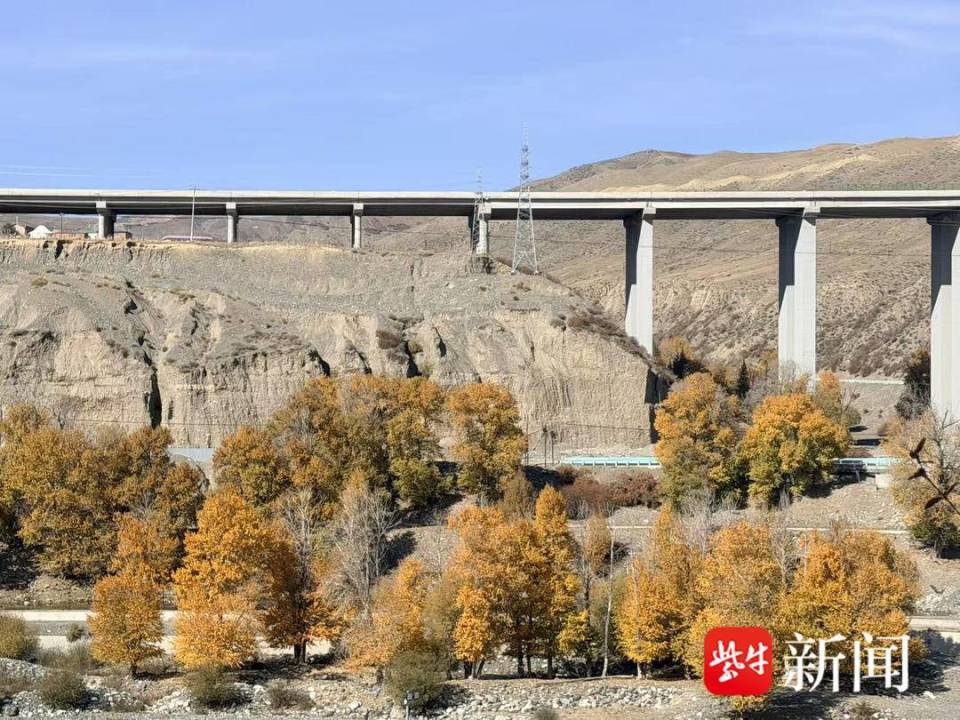 雪山松林间飘出咖啡香：乌鲁木齐乡村文旅从“一季火”到“四季歌”_腾讯新闻