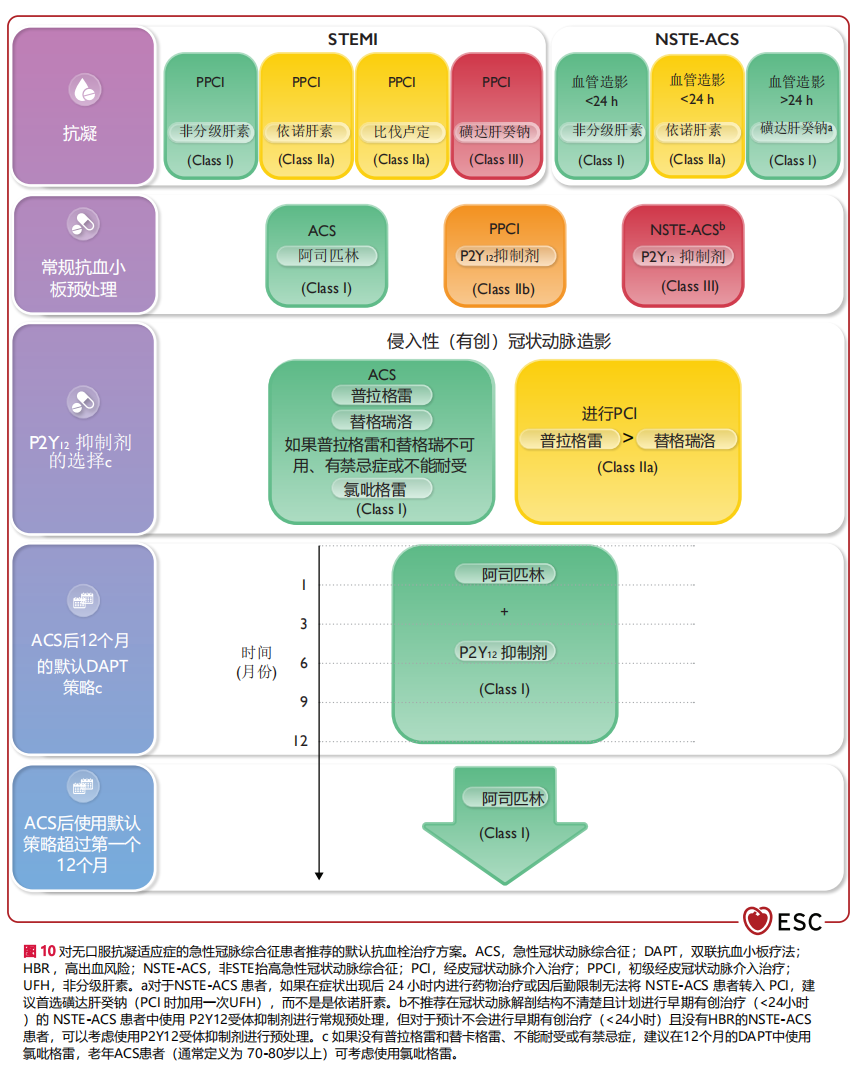 2023ESC ACS指南震撼发布：开创ACS整体谱系管理新格局，首次推荐P2Y12i长期单抗！_腾讯新闻