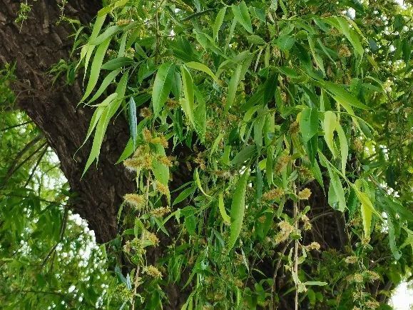 看一眼就浑身难受!