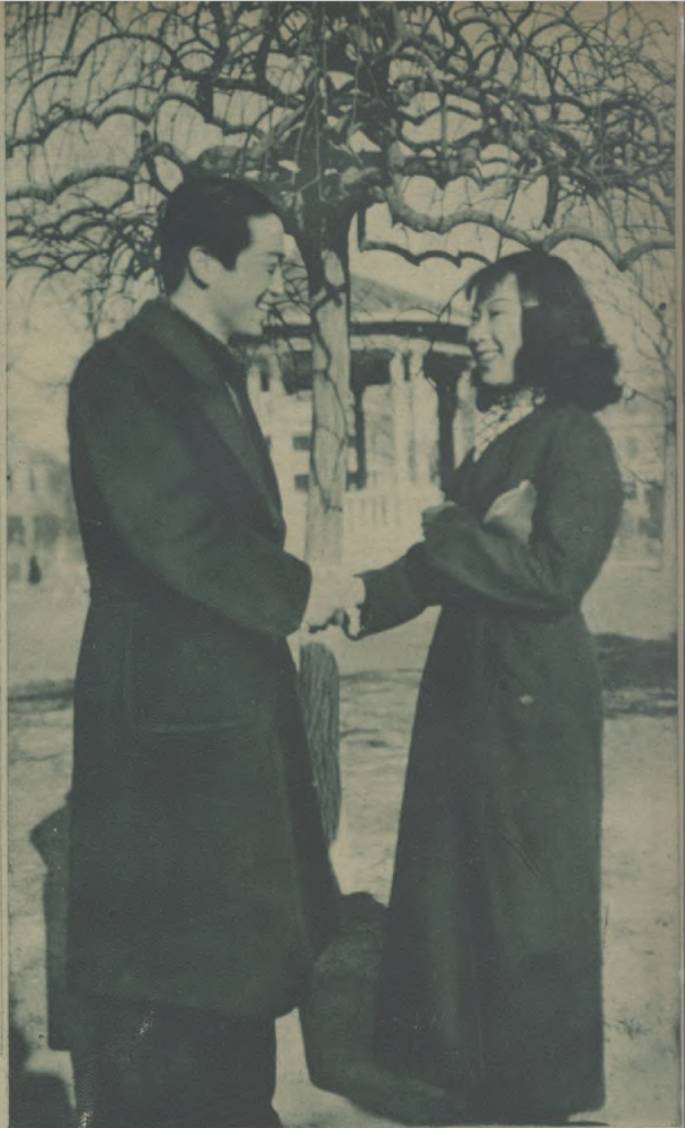 杨苡|年轻时交上的朋友就是不一样:忆陶金,章曼苹夫妇_腾讯新闻