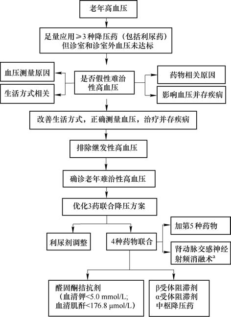 高血压知识点思维导图图片