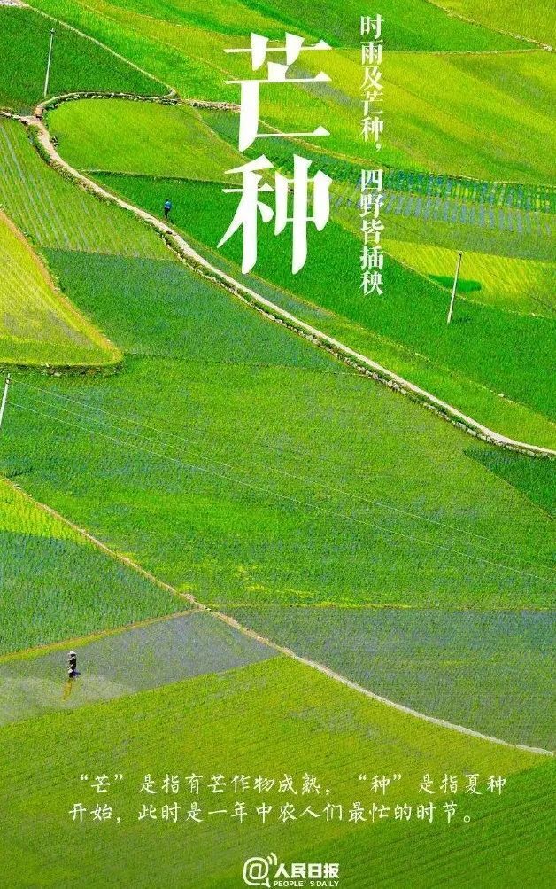 阜新,辽阳,铁岭,朝阳,分别是:沈阳,鞍山,抚顺,本溪,全省有8地的最高温