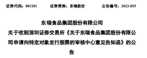 东瑞股份不超1033亿定增获深交所通过招商证券建功