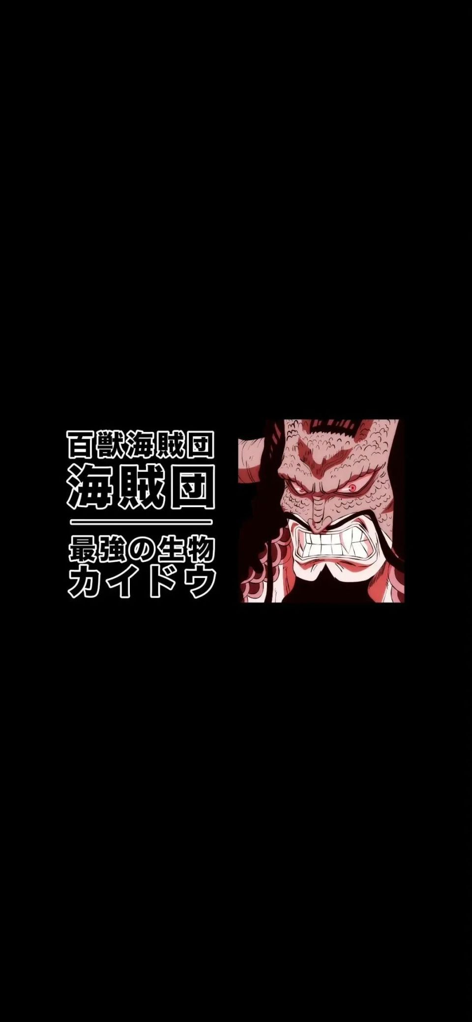 海贼王壁纸|纯黑色背景简洁手机壁纸