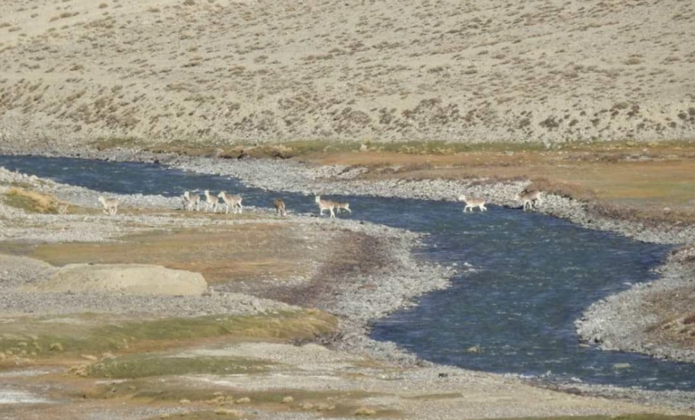 巴达赫尚省农业部负责人阿曼努拉·哈桑表示,国家公园