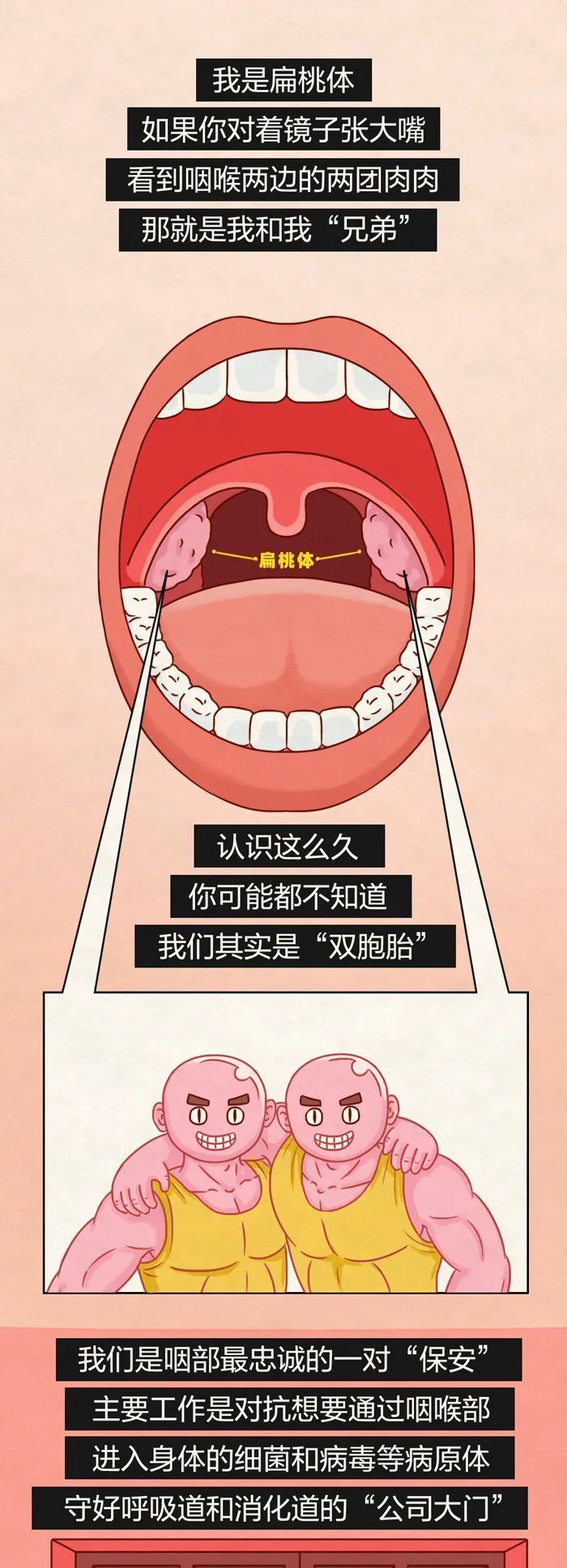 扁桃体发炎的原因图片