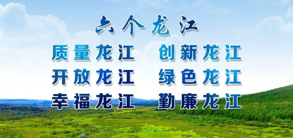 山杨良种推广与示范项目全面完成技术示范及示范林营建工作