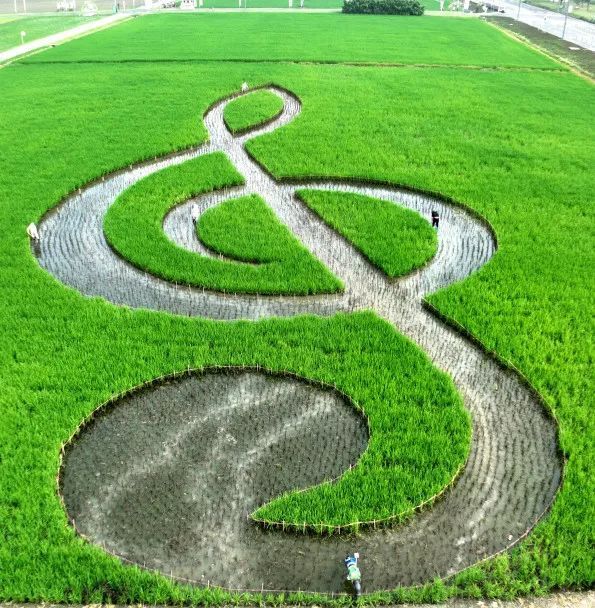 色彩艳丽有辨识度,能够清晰勾勒出各种造型的大地景观