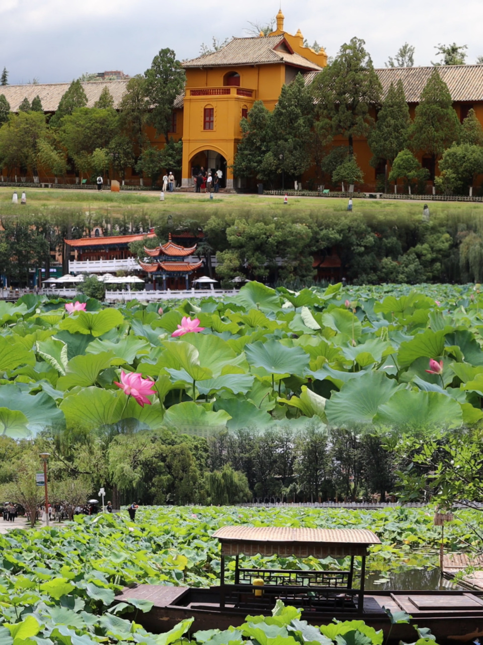 夏季避暑就来昆明,免费景点,城市一日游