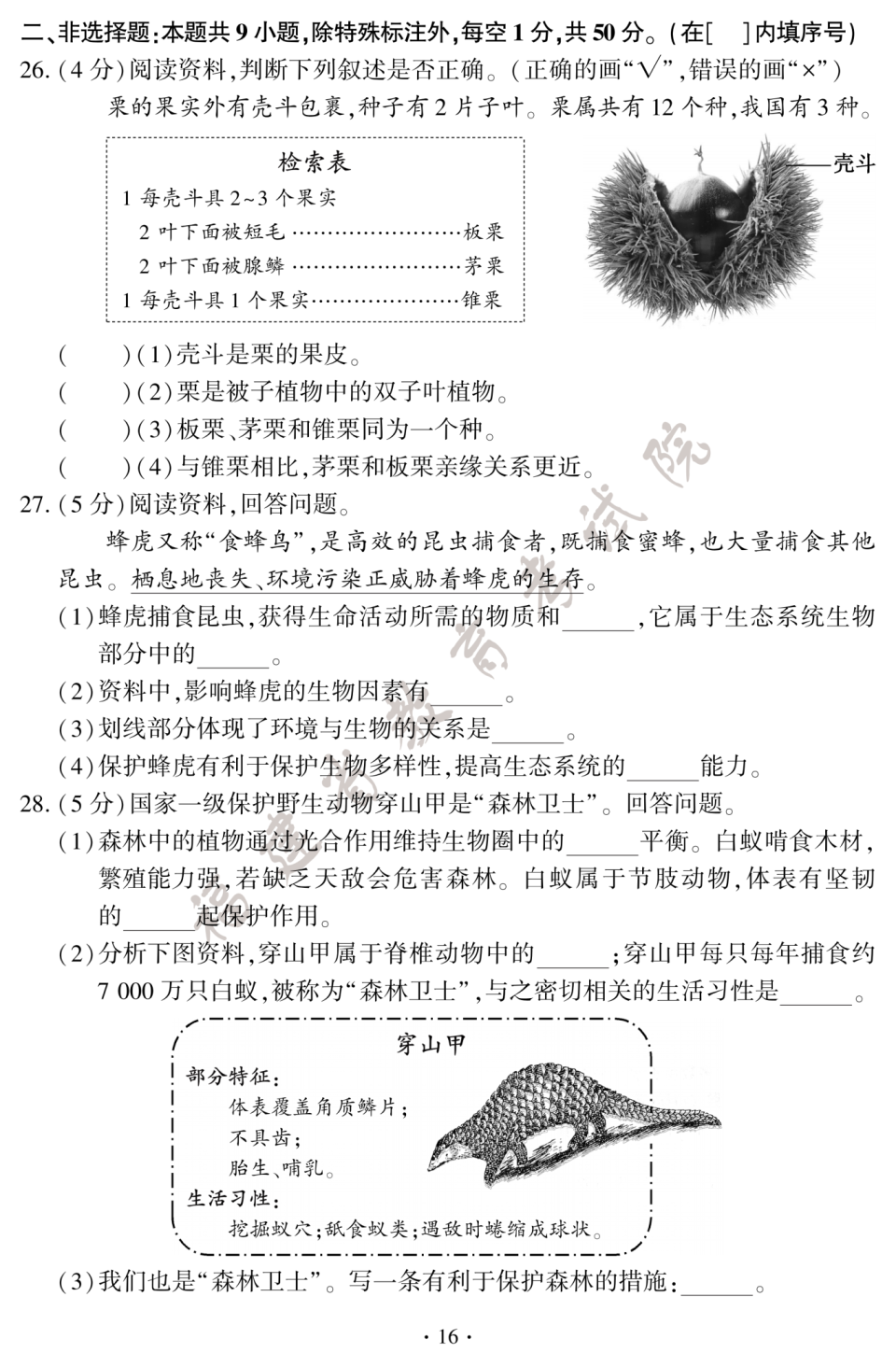 da2f05ef9f47e926c94ef947d945f528.png