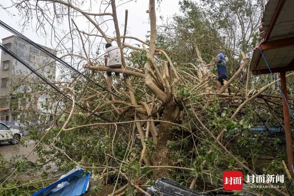 徐闻吴宗波死图片