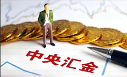 获批！这家金融机构实控人，变为中央汇金