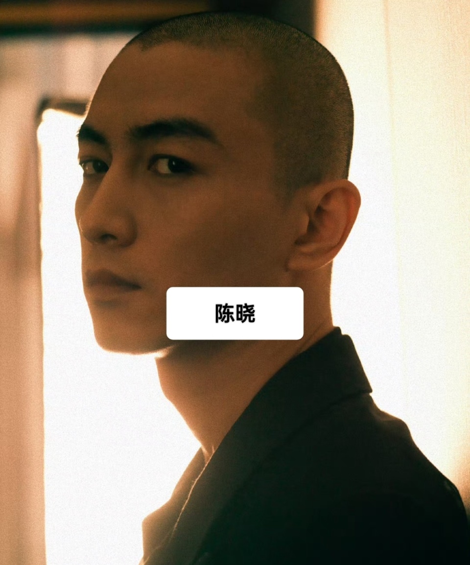 果然光头是最能检验帅哥颜值的,11位光头男星,哪个潇洒到了你?