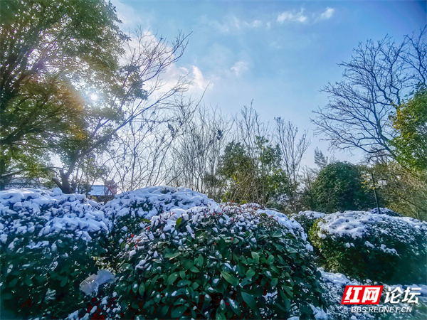 雪後初霽陽光至,藍天白雪映青山_騰訊新聞