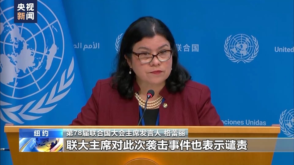 央视记者 徐德智:大家好,我是徐德智,在联合国总部带你直击现场,梳理