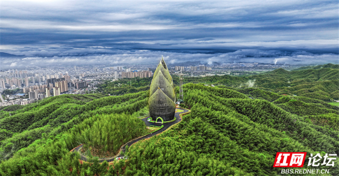摄影:邓燕盛 陈颐龄 刘太平▲图说:桃江县桃花江竹海景区内的"大