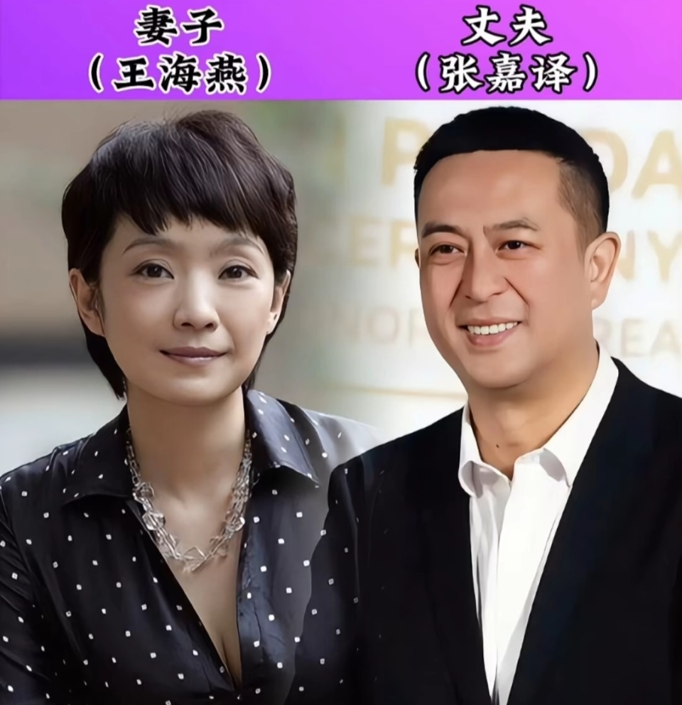 夫妻之间演员表图片