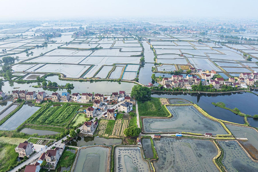 当涂县塘南镇曹坝村的水乡田园美景.