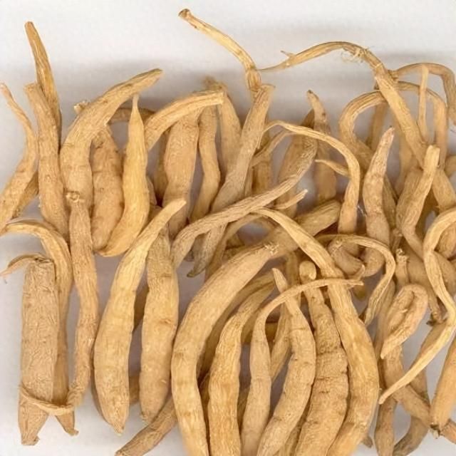 益气健脾,生津润肺——太子参