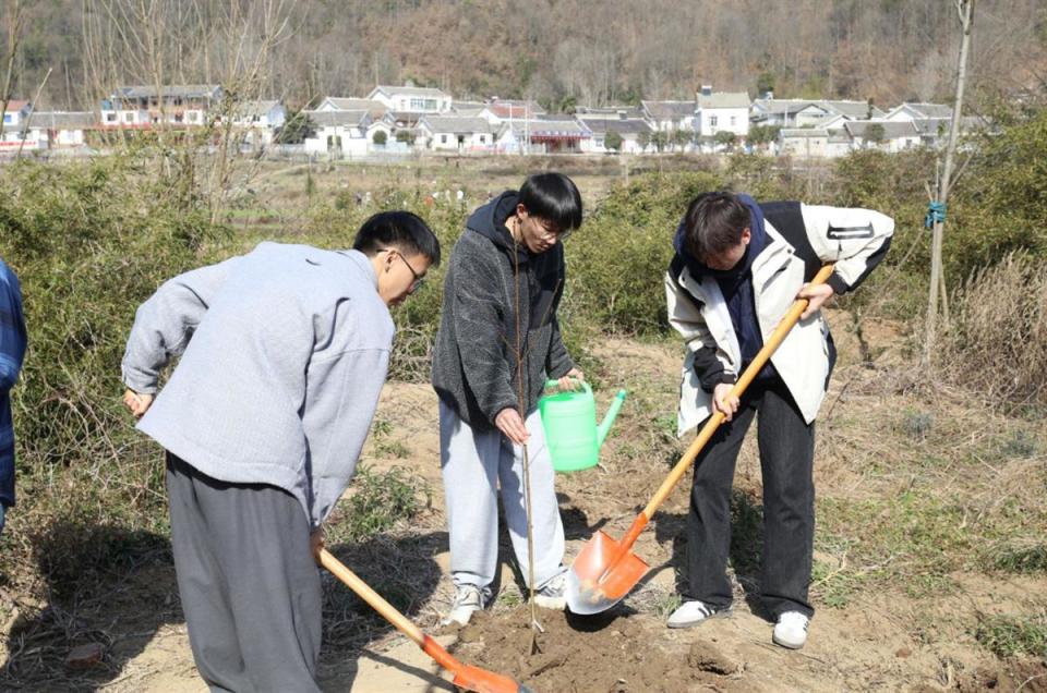 耕地,种树,土锅灶烹饪,千余名大学生田间上起劳动教育课