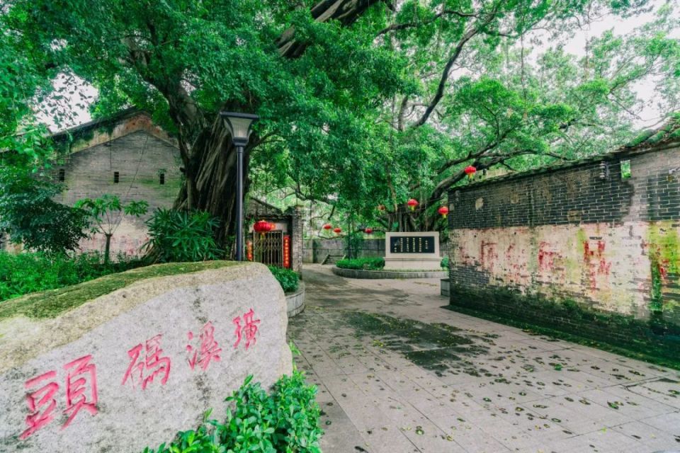 "四小园"飘出咖啡香!狮山百年古村吸引青年返乡创业