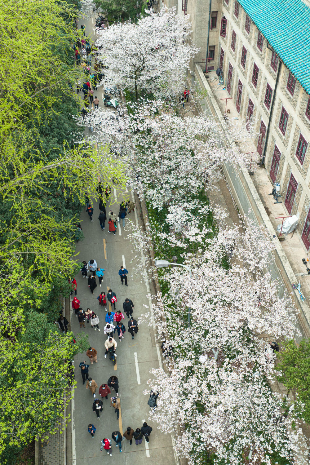 3月18日,来自各地的抗疫医护人员及家属在武汉大