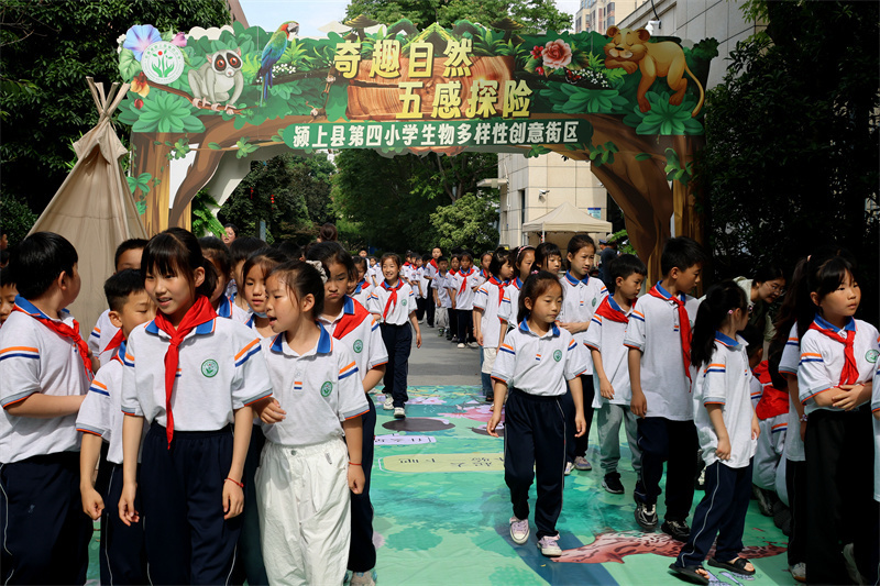 安徽颍上:"自然"市集 探寻"野"趣