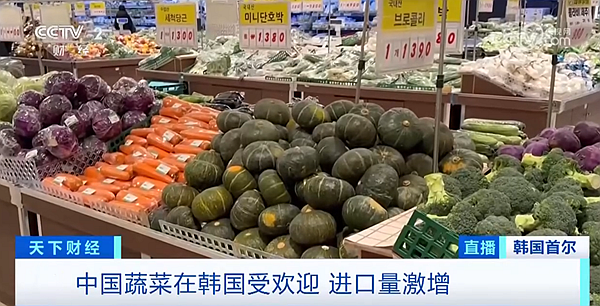 海国志丨韩国疯狂进口中国大葱背后:果蔬价格飙升