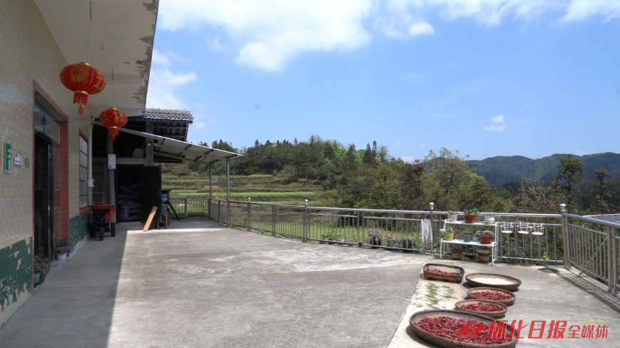 中方县桐木镇丰坡村种粮大户潘福的育秧工厂内开展水稻育秧播种工作