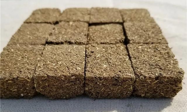 和六个神仙有关的功效神奇的中药——六神曲