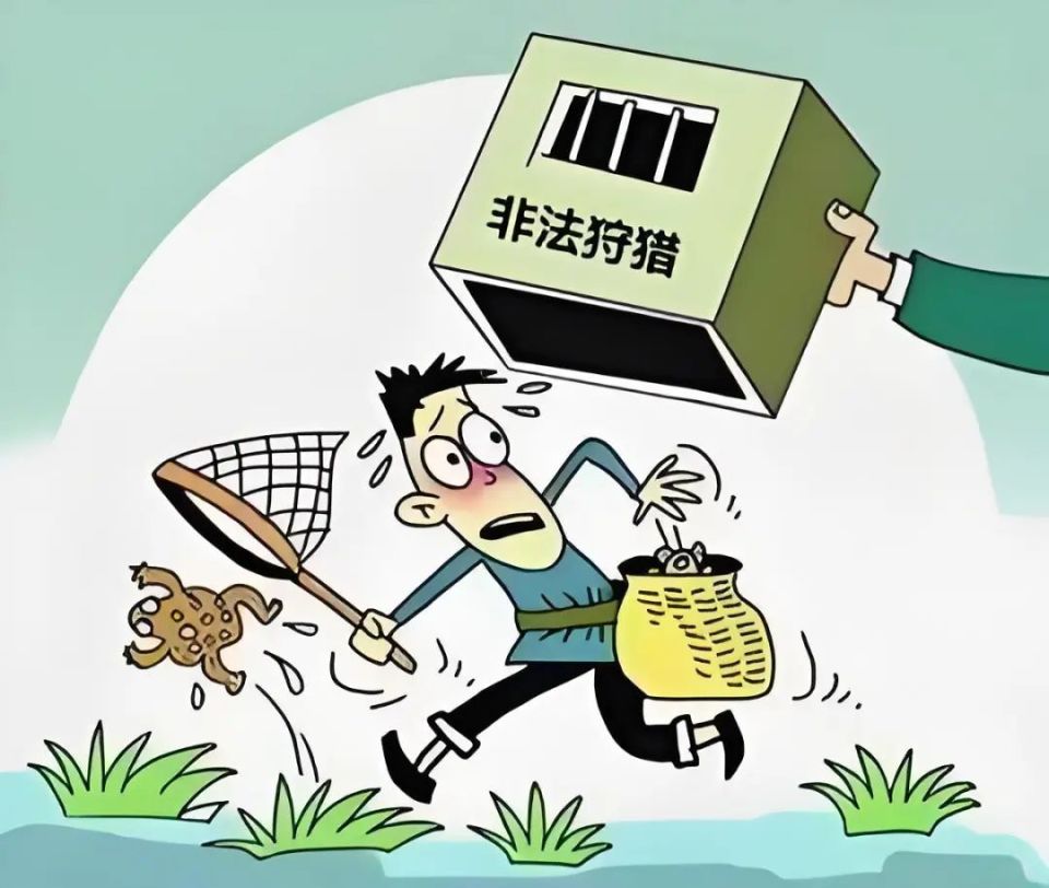 聊"检"说法丨利欲熏心野外捉捕 非法狩猎悔不当初 第6157期>