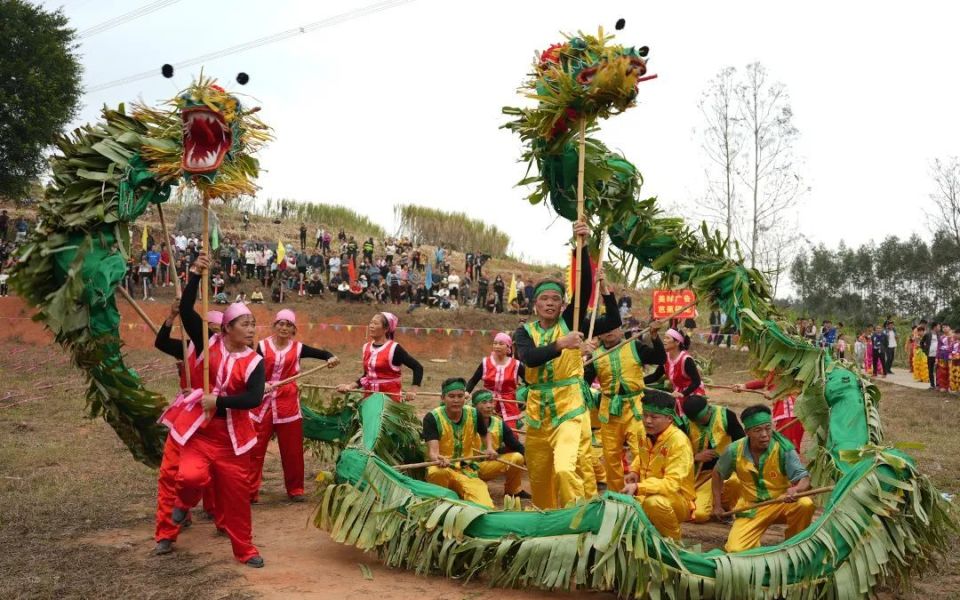 青秀区壮族芭蕉香火龙队.