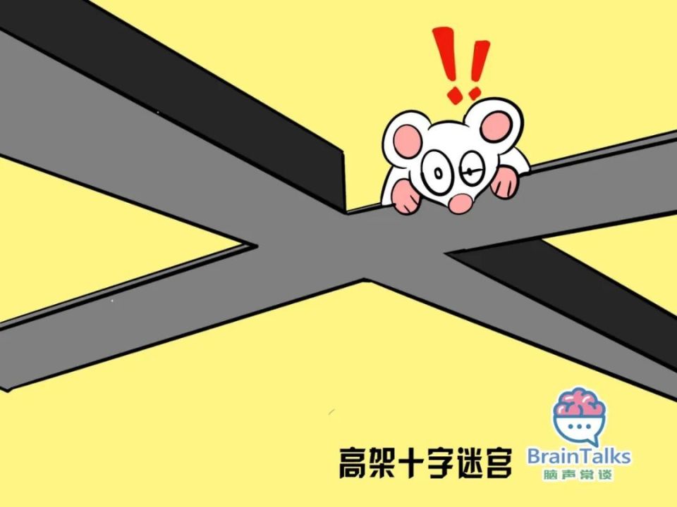 madsen测试什么脑声常谈丨啮齿动物中风模型行为测试范式汇总_https://www.jmylbn.com_新闻资讯_第9张