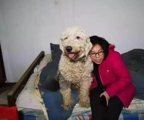 父母离世,绝症来袭,惨遭相恋7年男友抛弃,她却活成了世上最幸福的女人