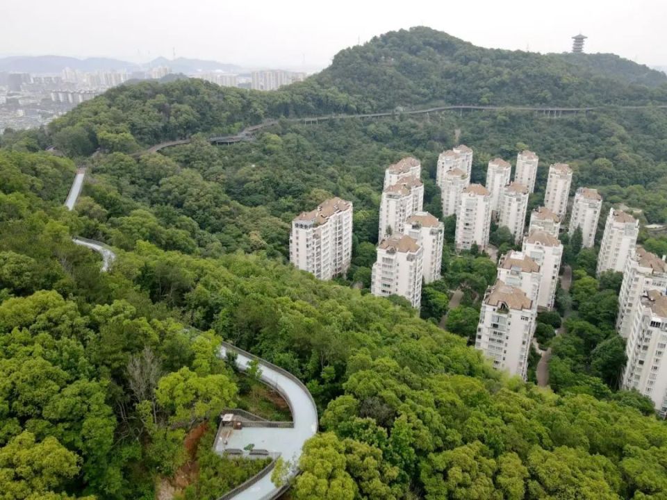 体验慢生活和城市氛围的"旅行道",不断融入市民的生活,提升椒江城市